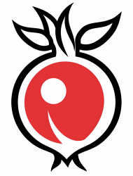 Pomsoft